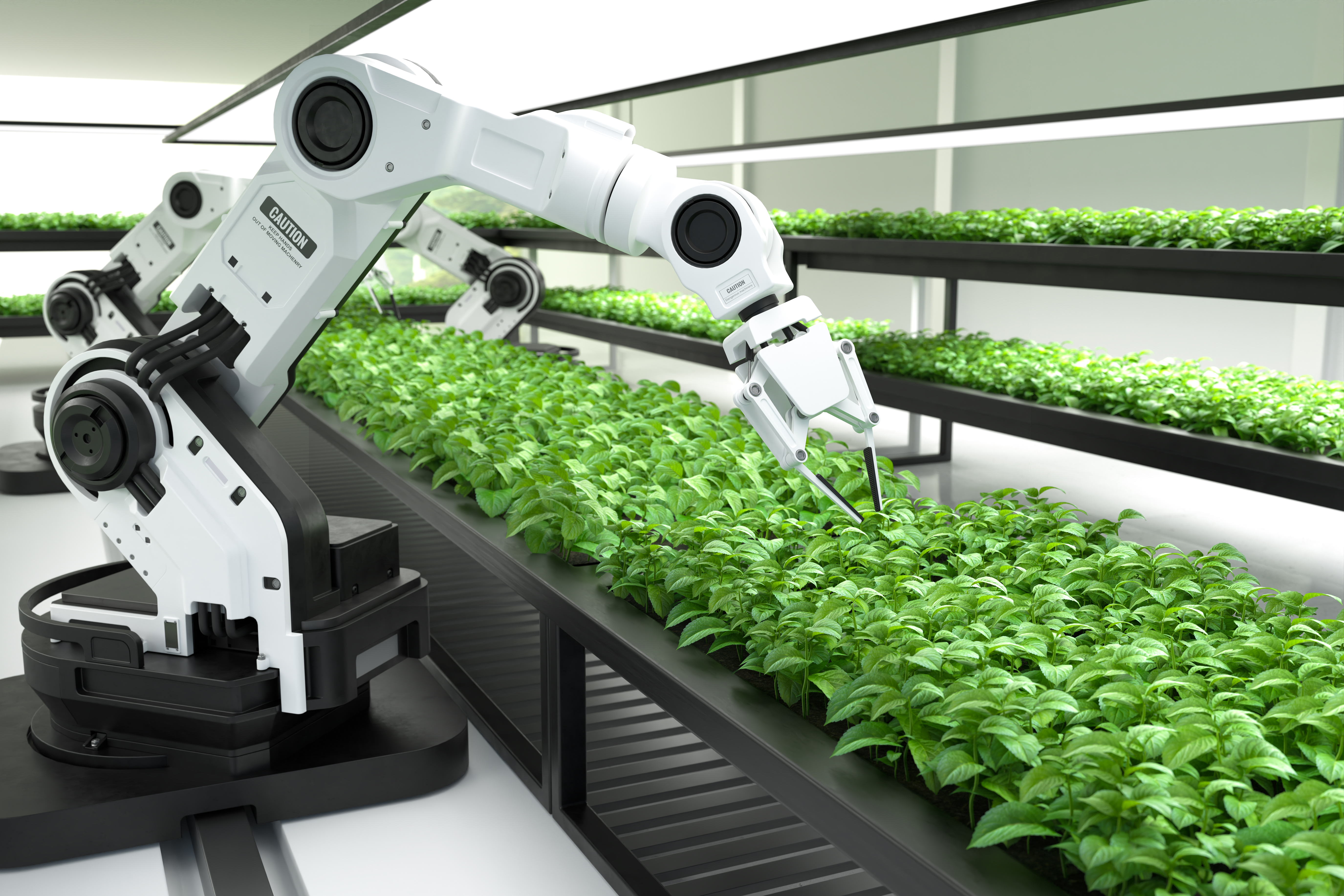 Navigating the Future: How AI is Transforming the Agriculture Industry Across the Globe