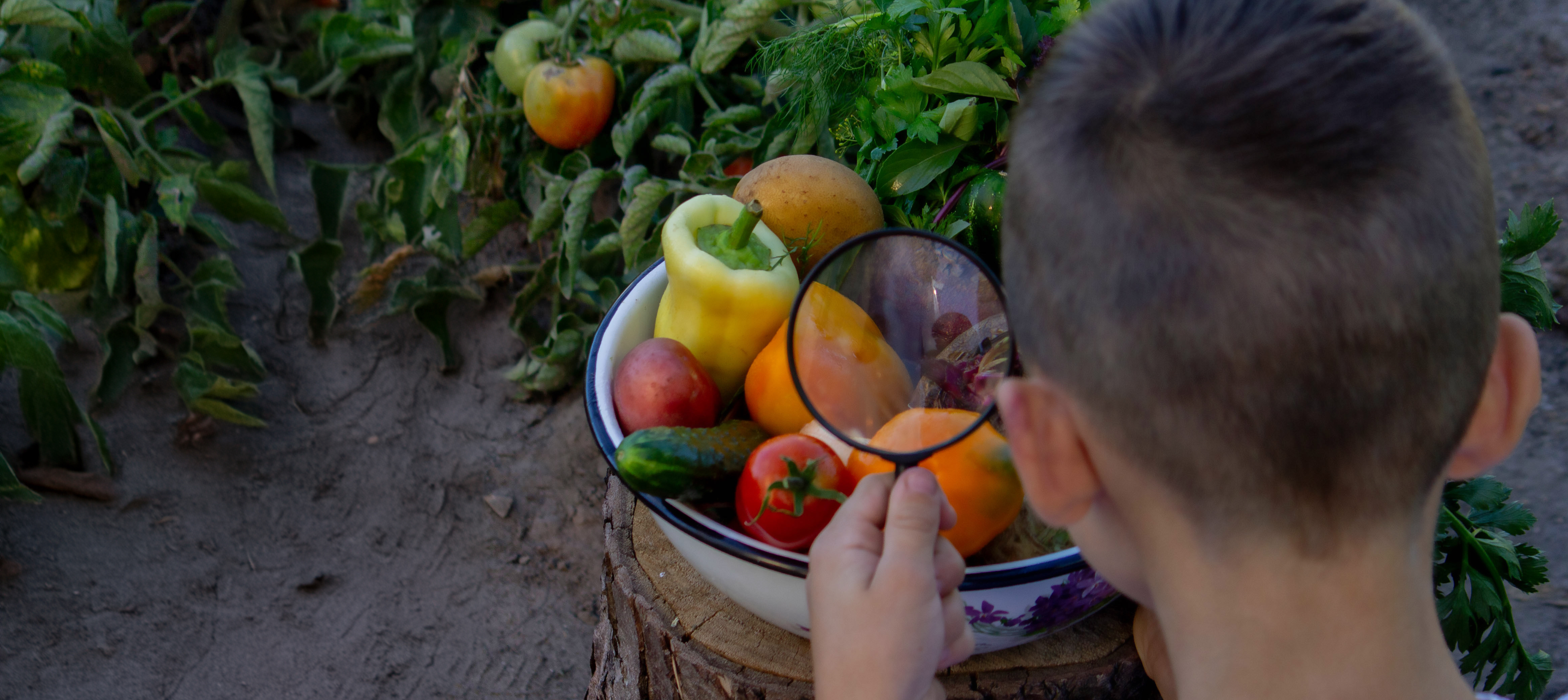 Sustainable Agriculture: How Different Countries are Tackling Food Security